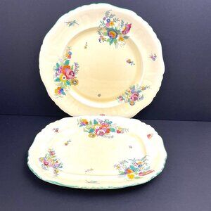 Mason’s Patent Ironstone Minuet Pattern Dinner Plate & Serving Platter — England
